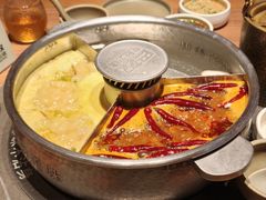 -巴奴毛肚火锅(京西大悦城店)