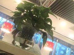 -嘉和一品粥(魏公村店)