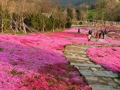 -棒棰岛宾馆景区