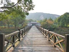 -长广溪湿地公园