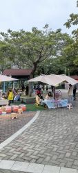 -深圳市儿童乐园