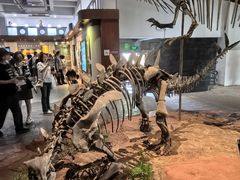 -自贡恐龙博物馆