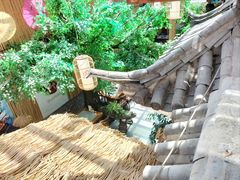 -大理董·董家小厨野生菌火锅(古城旗舰店)