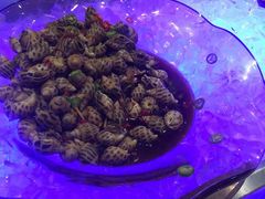 -盛宴自助餐厅(运达喜来登店)