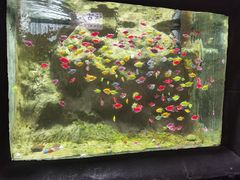 -苏州海洋馆