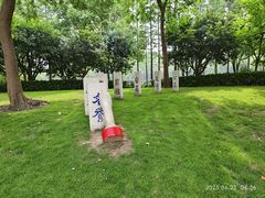 -陈家山荷花公园