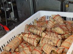 -金太粽(上海弄堂第一粽店)