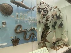 -国家自然博物馆