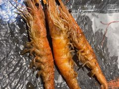 -一绪に寿喜烧(虹悦城店)
