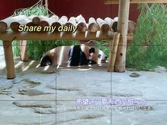 -杭州野生动物世界
