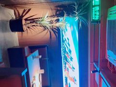 -雪熊精酿·哈尔滨烧烤酒馆(非遗大串店)