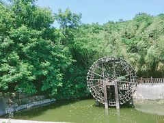 -石老人观光园
