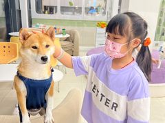 -怪兽屋·羊驼·猫咖·狗咖(俊华广场店)