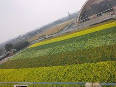 -中国天府农业博览园