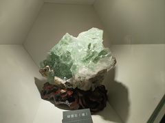 -安徽省地质博物馆
