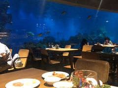 大堂-海棠湾洲际-涛·海底餐厅·美人鱼·自助餐·海底隧道