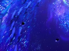 -南湾猴岛+椰田古寨一日游