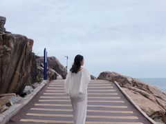 -广东惠东海龟国家级自然保护区