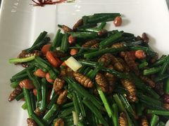 -蒲园食堂(中山大学广州校区南校园店)