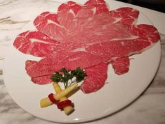 -汤城·料青山