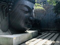 -杭州植物园