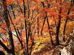 -丹东天桥沟景区