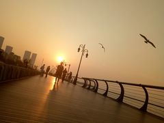 -东港音乐喷泉广场