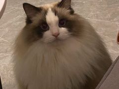 -爱诺耐芙动物医院(万博店)