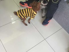 -纳吉亚猫专科动物医院博雅分院