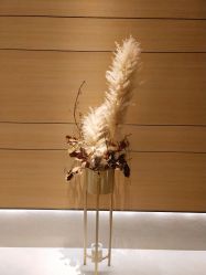 -恒美雅轩·品牌直营连锁