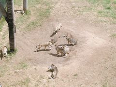 -鄂尔多斯野生动物园