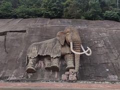 -哈尔滨北方森林动物园