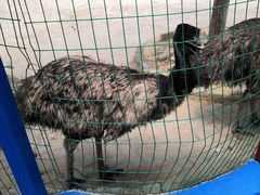 -武汉紫薇都市田园