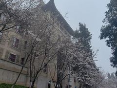 -武汉大学-樱园