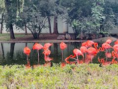 -石家庄市动物园