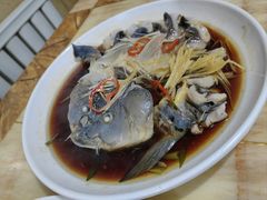 -煲来饱去冷水鱼