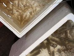 -金秋小吃海鲜·专注30年临海特色风味