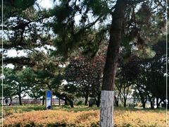 -老虎石海上公园