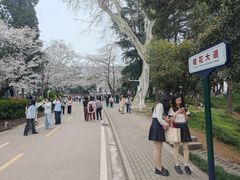 -武汉大学-樱园