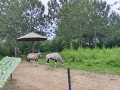 -大连森林动物园