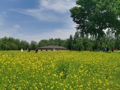 -长白岛森林公园