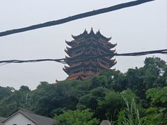 -黄鹤楼公园(黄鹤楼)