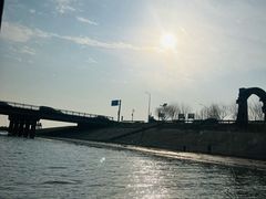 -合肥滨湖国家森林公园