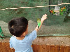 -杭州开元森泊度假乐园