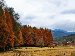 -塔川景区
