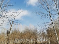 -东郊湿地公园