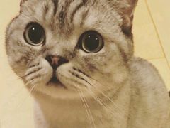 -达爱动物医院·犬猫分区·CT·复杂眼科(远洋山水分院)
