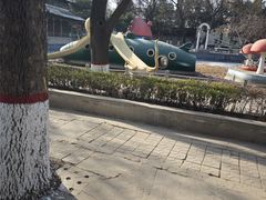 -保定市动物园