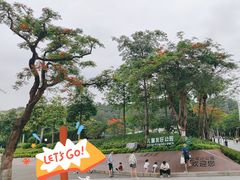 -红花山公园