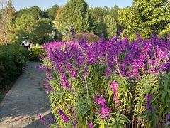 -铁山坪森林公园